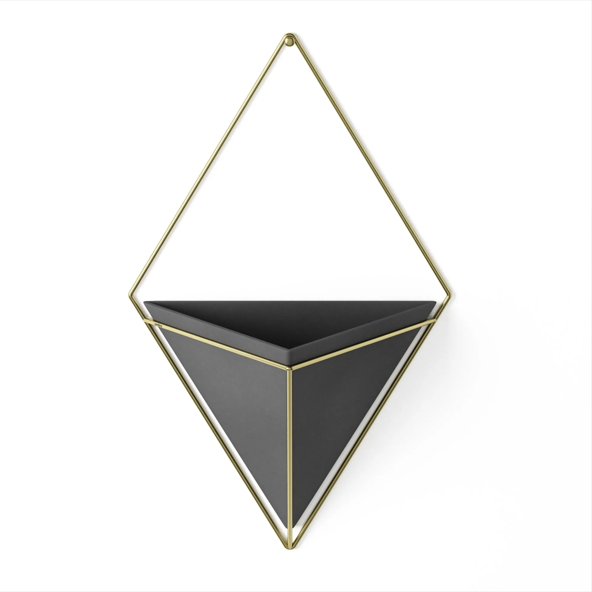 TRIGG WALL DISPLAY