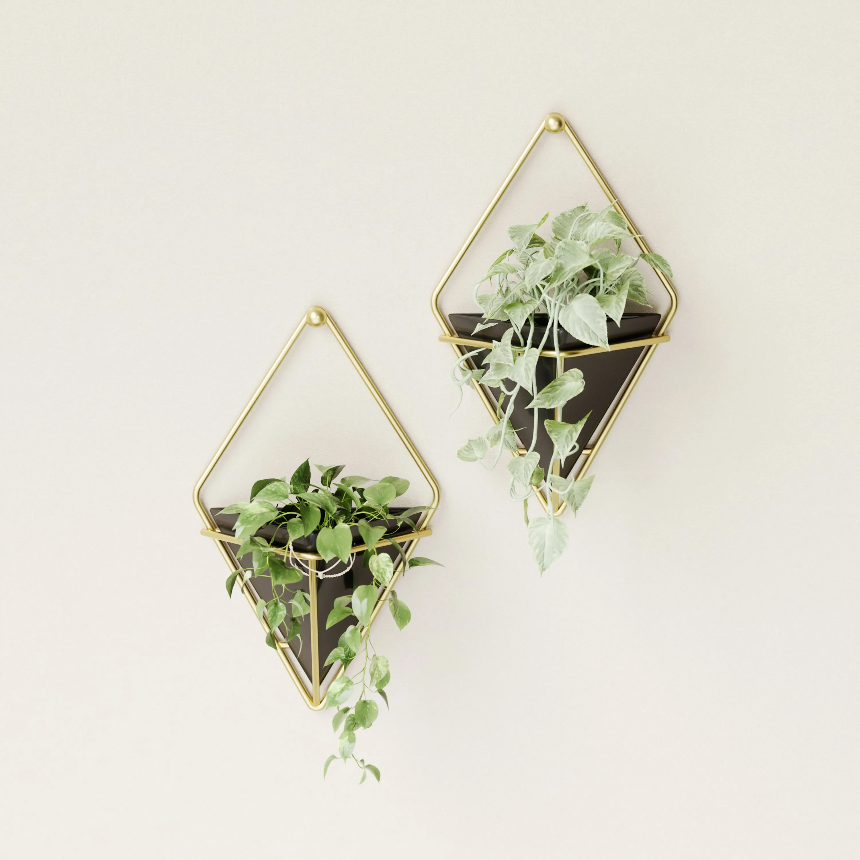 TRIGG WALL DISPLAY
